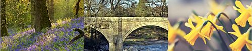 Lune Valley